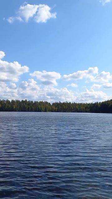 Иллюзия