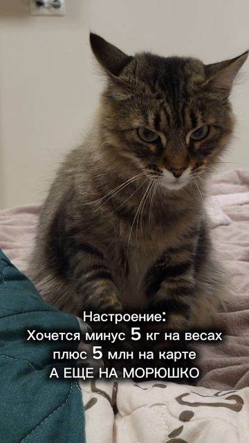 Настроение...