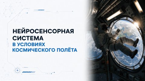 Лекция 6 | Нейросенсорная система в условиях космического полёта | Космическая медицина