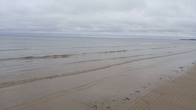 Чайки на море