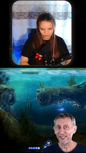 если вдруг кто не знал #highlights #twitch #gaming #funny #slivka #ори #ori #мем #стример #strimer