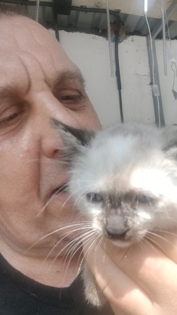 Ура! Маленькой красавице нашёл добрые ручки и уютный дом.