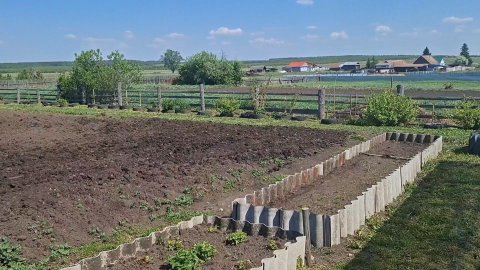 Жаркое завершение отпуска: прогулка по огороду и подготовка к отъезду.