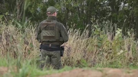 В Латвии снова была объявлена воздушная тревога из-за беспилотника