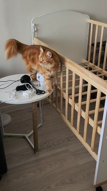 ОТК. Отдел технического контроля! )