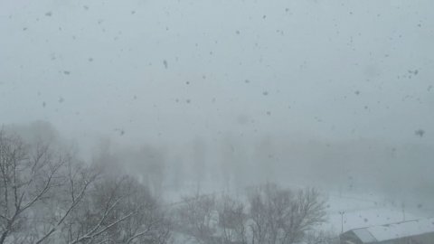 Апрельская метель в Москве