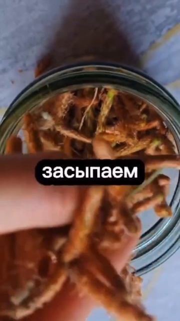 Варенье из сосновых почек, сохраняй рецепт