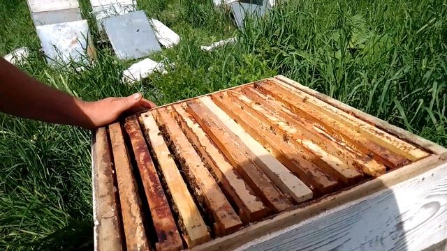 Бардак