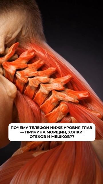 https://t.me/fitstyler_bot?start=spina