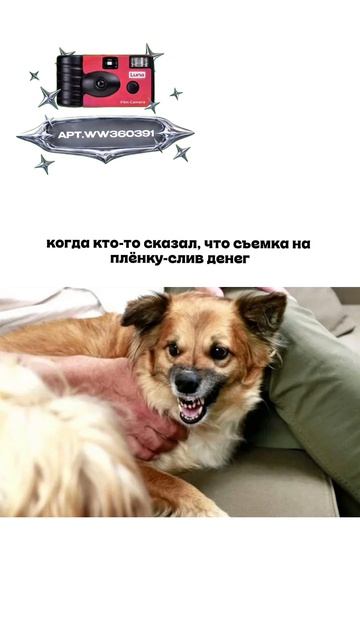 Плёночный фотоаппарат на 36 кадров (Артикул WB: #WW360391)💕