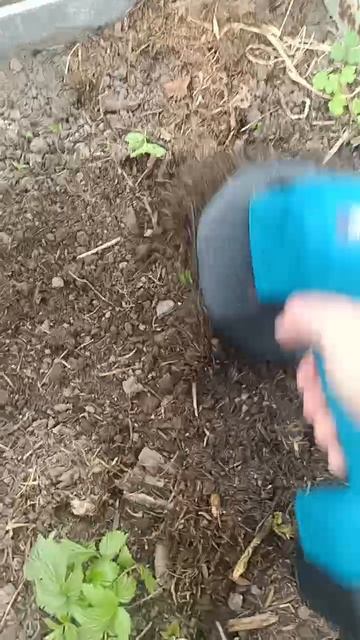 VID_20260523_183231_627