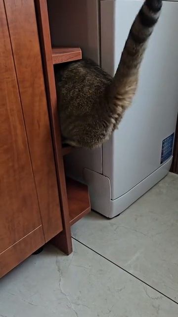 КТО-ТО МНОГО ЕСТ