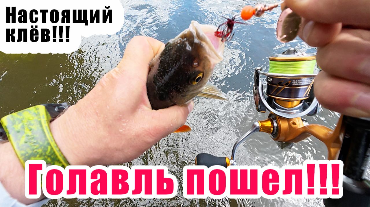 ВОТ ЭТО НАЧАЛО СЕЗОНА!!! ЛОВЛЯ ГОЛАВЛЯ НА ПЕРЕКАТАХ!!! ЧТО ПРОИСХОДИТ С ЭТОЙ РЕКОЙ?