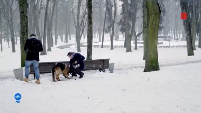Рекламный блок и анонсы (НТВ Сериал HD, 23.05.2026)