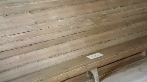 В Михайловском.
Домик Арины Родионовны, няни поэта.