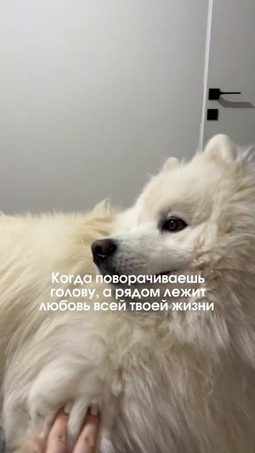 О да😍))