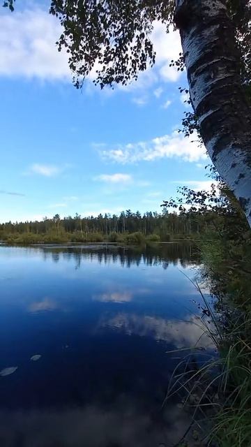 не  кому