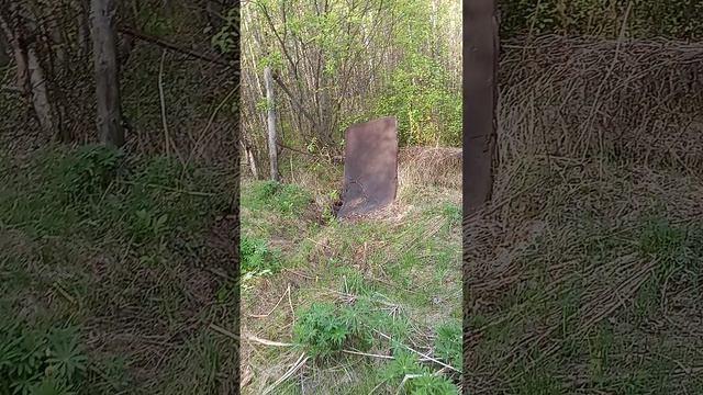 Выходные удались! #топ #врек