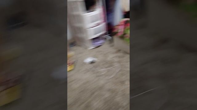 188.mp4
