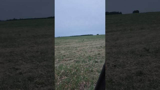 учимся ездить часть 1