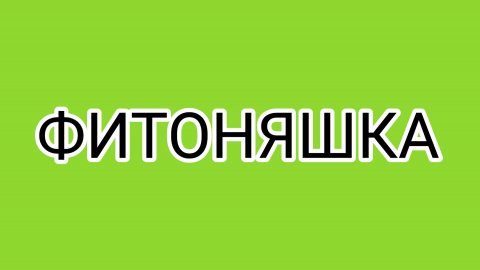 ДОМОСЕР устал от съёмок