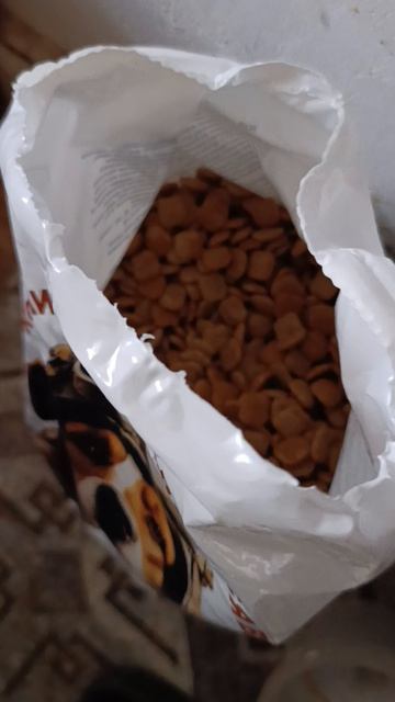 1000005440.mp4