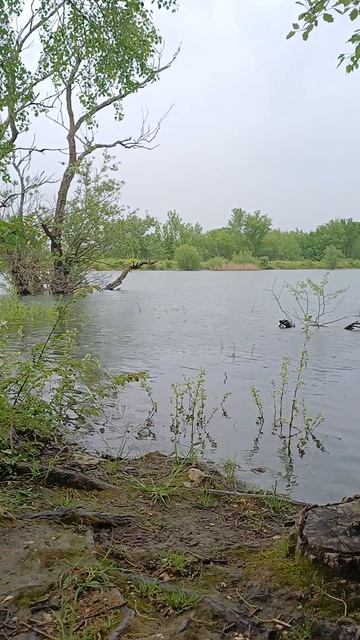 Вода уже теплая 24 мая