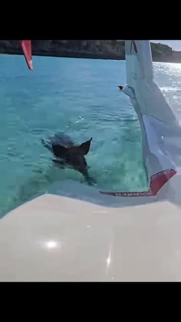 Sea
Tennis
Airplan