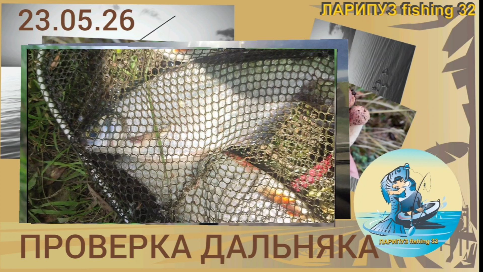  ПРОВЕРКА дальняка....