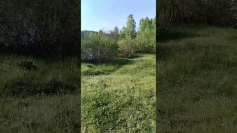 Наша рыбалка.🌸Река Урал