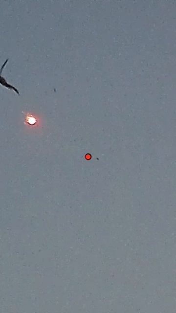 Охота на вальдшнепа с трассирующим дробовым патроном IGLA
