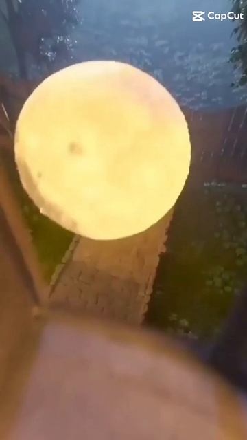 luna🌕