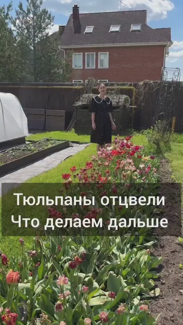 Тюльпаны отцвели,  пора их срезать.