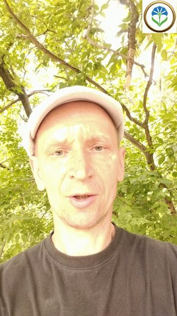 4. Насколько истинно наше суждение о мире? Андрей Шевцов
