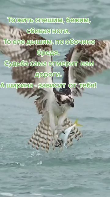 1000114776.mp4