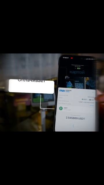 Оплата криптой через Antarctic Wallet