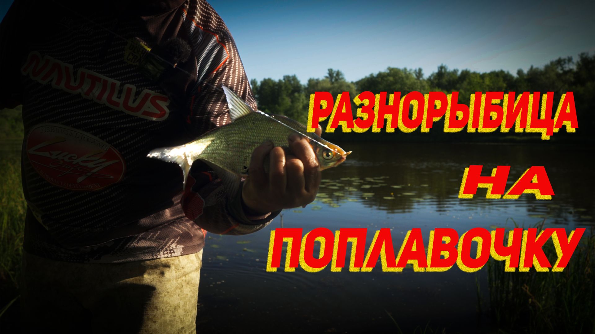 Поймал на поплавочку разнорыбицы на местном озере