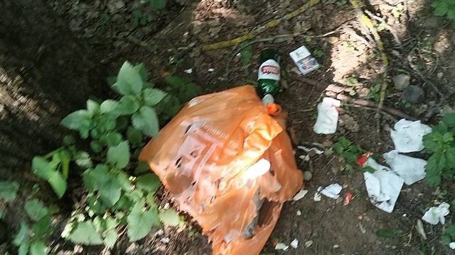 Чисто там где не сорят