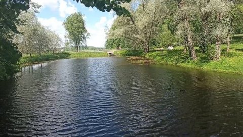 На пруду в Михайловском. 23.05.26