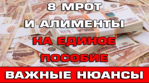 8 МРОТ и Алименты на Единое пособие Важные нюансы