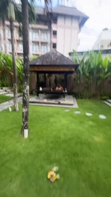 Как выглядят удаленщики на Бали? 🌴 Ваш вариант удаленки жду в комментах 😀