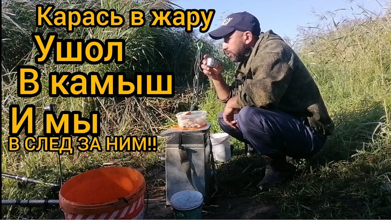 Рыбалка в Курской области, весь карась у камыша.