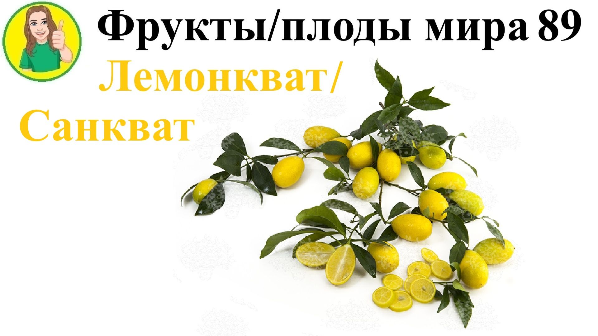 Фрукты – плоды мира 89 –  Лемонкват или Санкват Сыроедение Фрукторианство