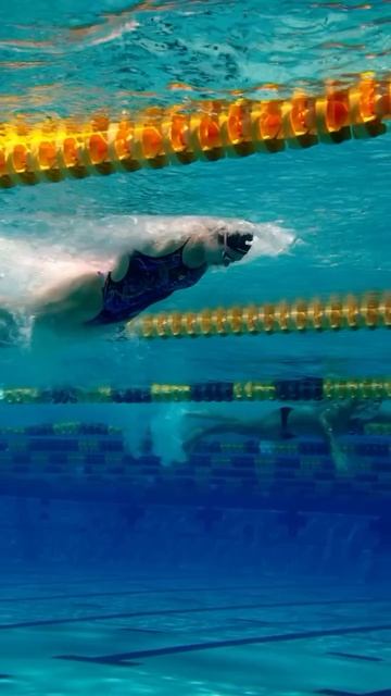 🐬Работа дельфином под водой!🐬