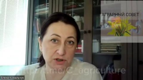 Записали эфир от 17.04.2026 по ситуации с изъятием скота в НСО