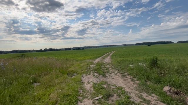Горожанин выбрался на природу. Шок.