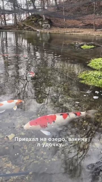 Что скрывают опытные рыбаки? Раскрываю главный лайфхак!