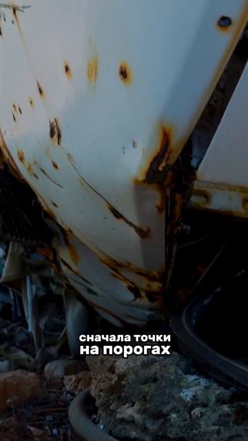Как часто нужно мыть машину