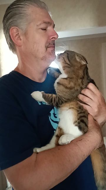 Страшно сильная любовь ❤️🐱