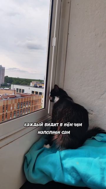 66/365 Живу другую жизнь
